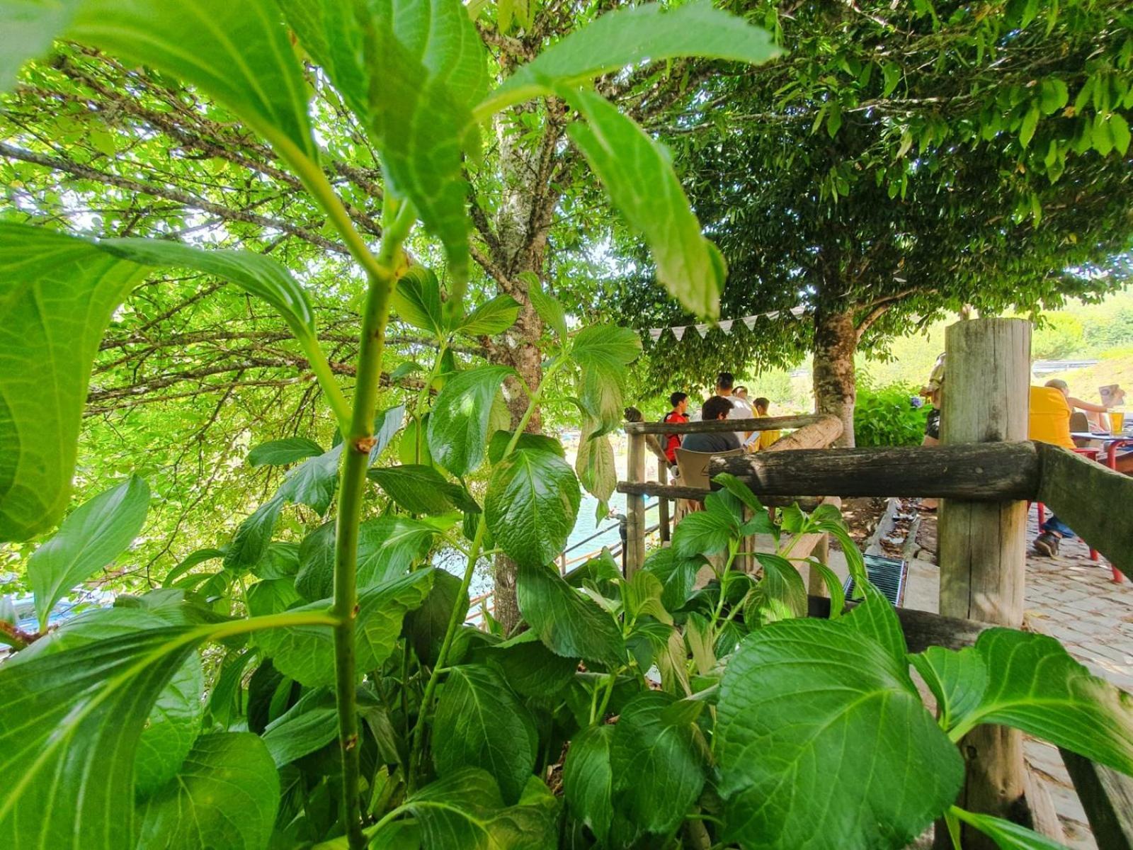 Casa Elbi Villa Figueiro Dos Vinhos Exterior foto